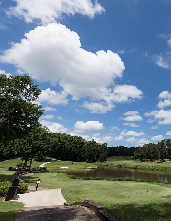 Walking into Wellness